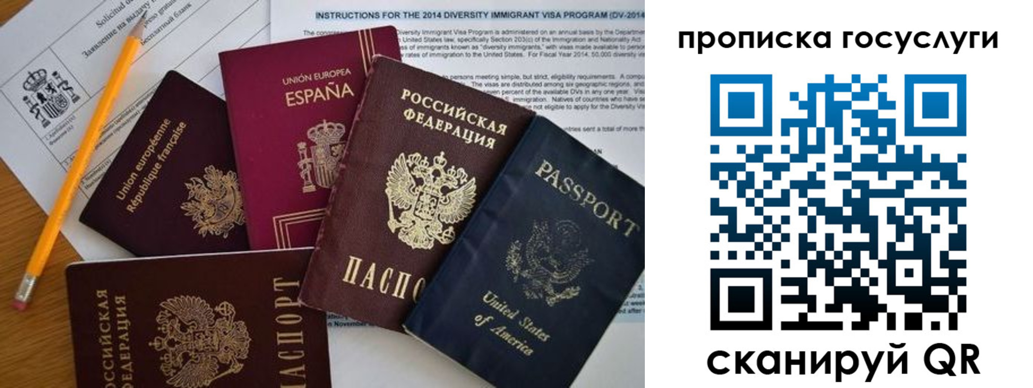 прописка гарантия в Щучье